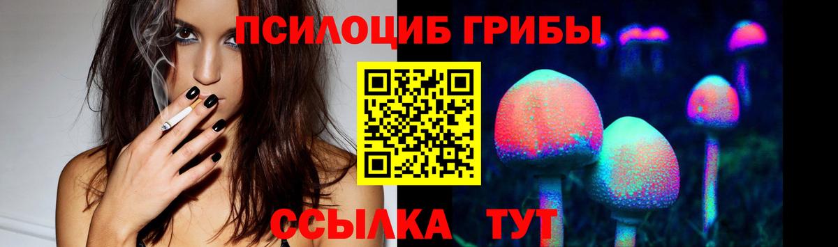 Новосибирск  Галлюциногенные грибы Cubensis  Псилоцибиновые грибы Magic Shrooms  Вход с VPN 